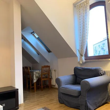 Spacious 2-rooms Penthouse In Center Lägenhet *